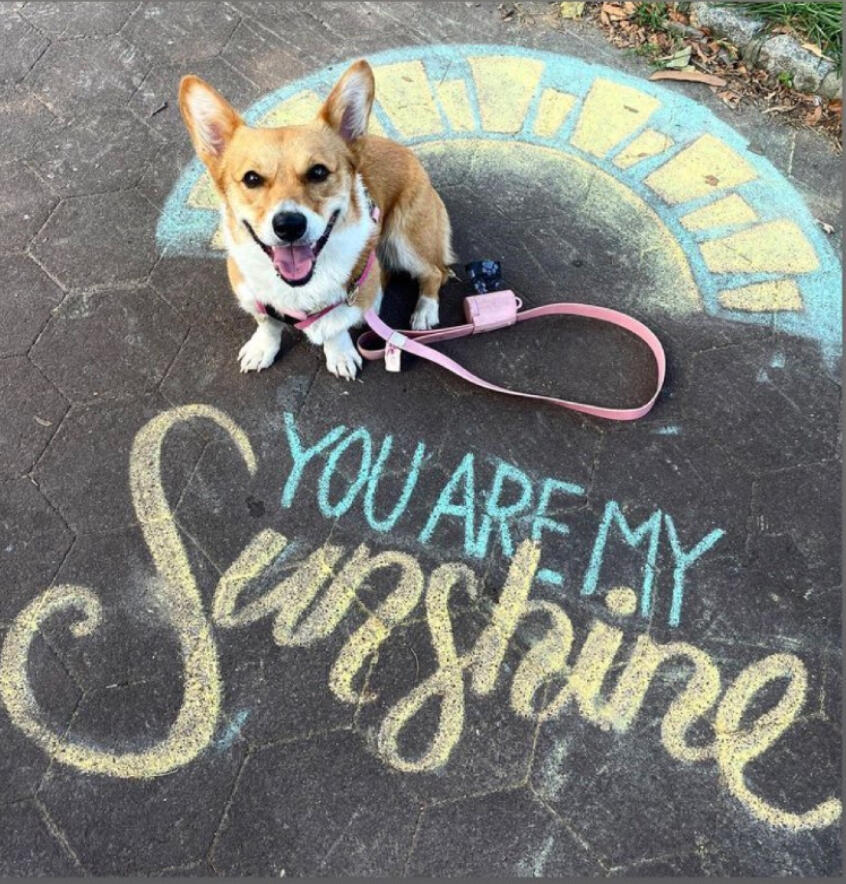 Sunshine (Chalk) Sunshine (Chalk)