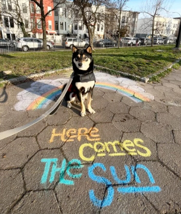 Here Comes the Sun (Chalk)